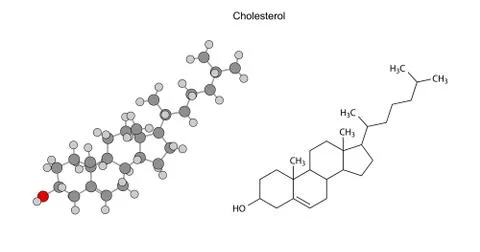 Structural chemical formulas of cholesterol molecule Illustrazione stock
