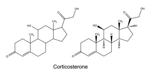 Structural chemical formulas of corticosterone Stock Illustration