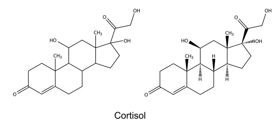 Structural chemical formulas of cortisol Stock Illustration