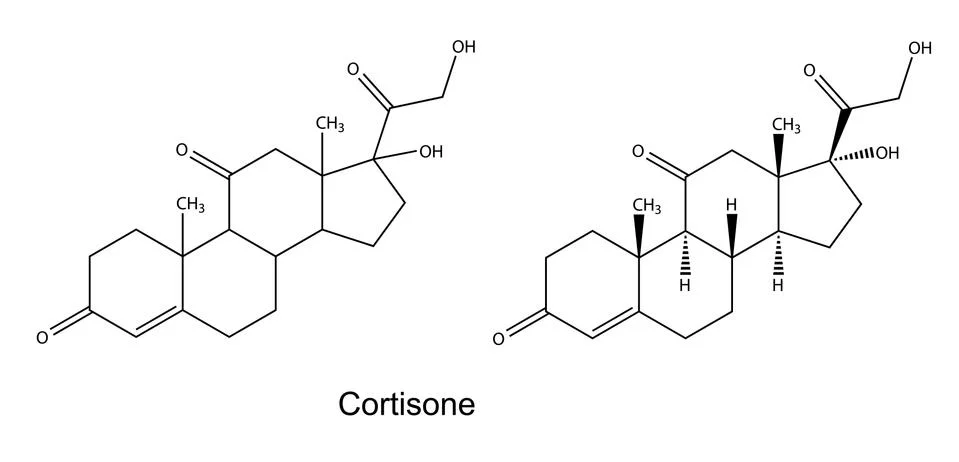 Structural chemical formulas of cortisone Stock-Illustration
