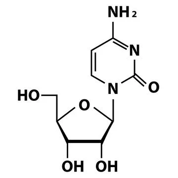 Structural chemical formulas of Cytidine molecule. Stock-Illustration