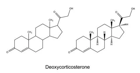 Structural chemical formulas of deoxycorticosterone Stock Illustration