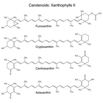 Structural chemical formulas of plant pigments - carotenoids xanthophylls Stock Illustration