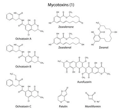 Structural chemical formulas of some mycotoxins Stock Illustration