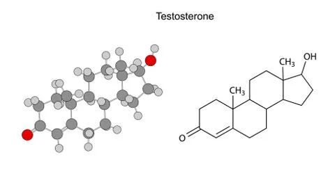Structural chemical formulas of testosterone molecule Stock Illustration