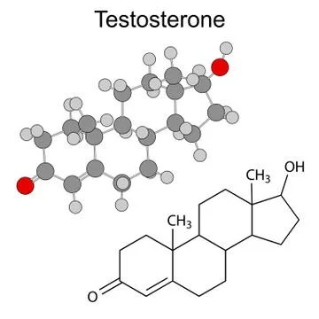 Structural chemical formulas of testosterone molecule Stock Illustration