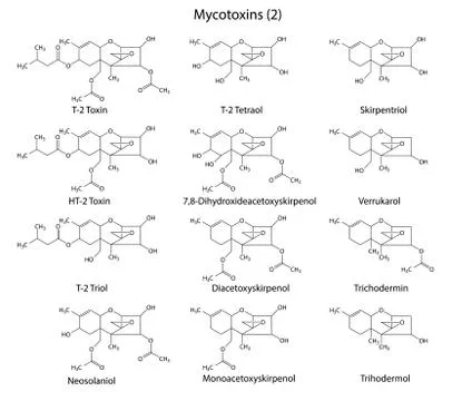 Structural chemical formulas of A-type mycotoxins Stock-Illustration