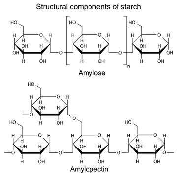 Structural components of starch Stock Illustration