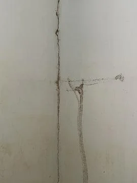 Structural crack and termite mud tubes converging on interior wall Stock Photos