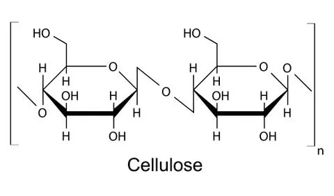 The structural formula of cellulose polymer Stock Illustration