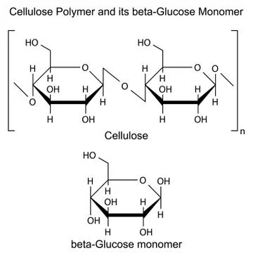 Structural formula of cellulose polymer Stock Illustration