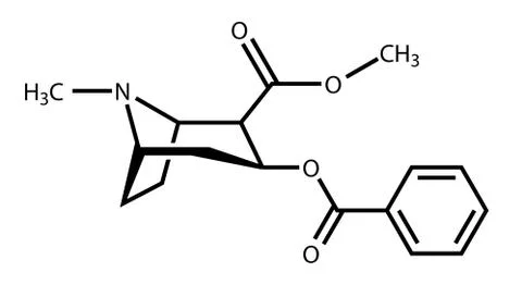 Structural formula of cocaine Stock Illustration