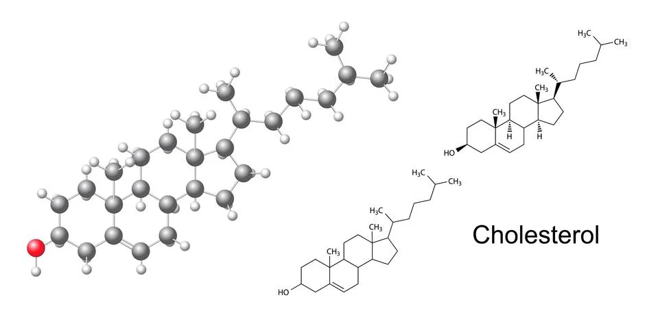 Structural formulas and model of cholesterol (cholesterine) molecule Stock Illustration