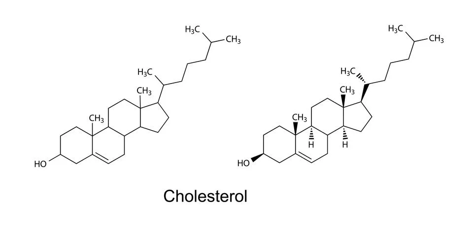 Structural formulas of cholesterol molecule Stock Illustration