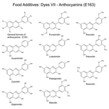 Structural formulas of food additives - anthocyanins Stock Illustration