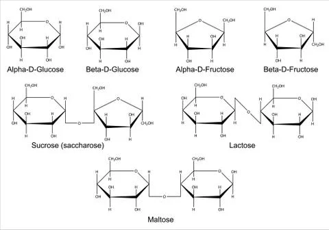 Structural formulas of the main saccharides Stock Illustration