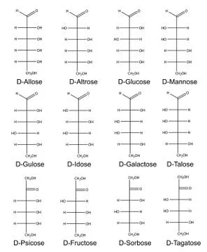 Structural formulas of monosaccharides (hexoses) Stock Illustration
