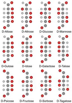 Structural formulas of monosaccharides (hexoses) Stock Illustration