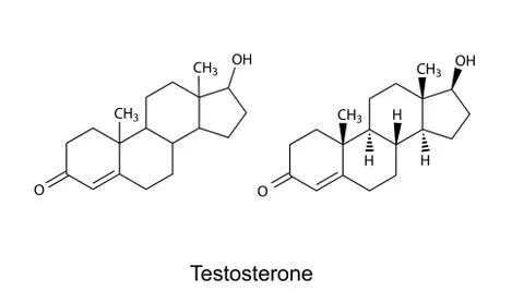 Structural formulas of testosterone molecule Stock Illustration