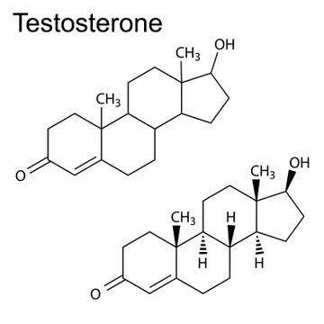 Structural formulas of testosterone molecule Stock Illustration