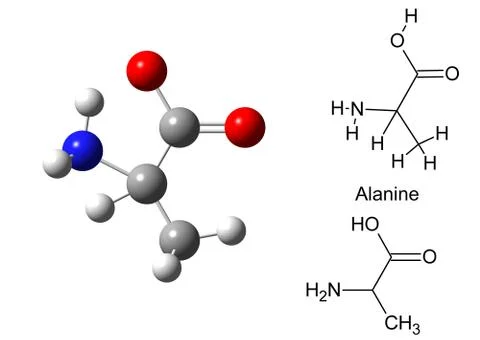 Structural model of alanine molecule Stock-Illustration