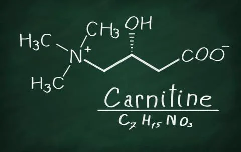 Structural model of Carnitine on the blackboard. Stock Photos