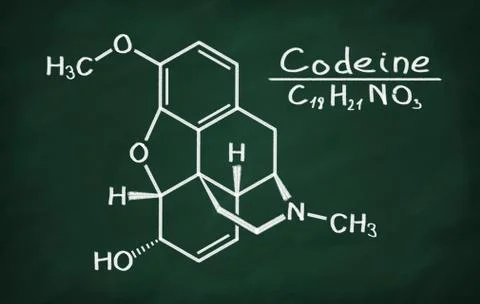 Structural model of Codeine Stock Illustration