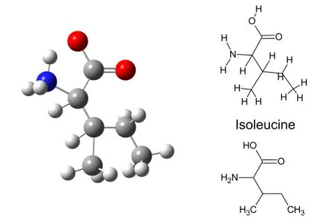 Structural model of isoleucine molecule Stock Illustration