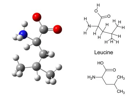 Structural model of leucine molecule Stock Illustration