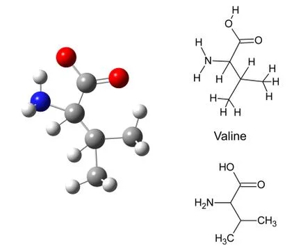Structural model of valine molecule Illustrazione stock
