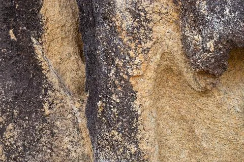 Structural stone speckled background. Texture pattern Фото