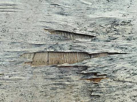 Structure and surface pattern of broken and damaged thin board Stock Photos