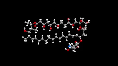Structure of antifungal agent nystatin Stock Footage 295070034