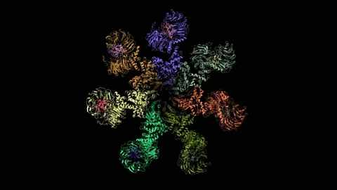Structure of the Apaf-1 apoptosome with cytochrome C shown Stock Footage 157282506