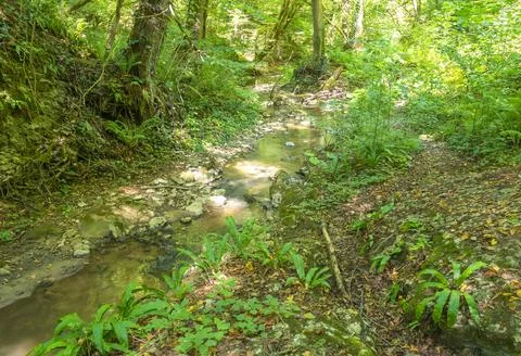The structure of the bottom and summer walks along the canyon of the mountain Stock Photos