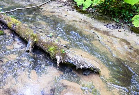 The structure of the bottom and summer walks along the canyon of the mountain Stock Photos