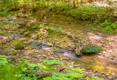 The structure of the bottom and summer walks along the canyon of the mountain Stock-Fotos