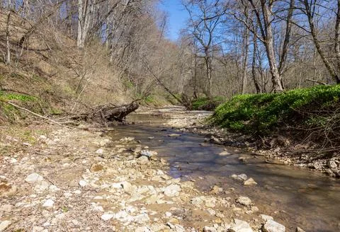 The structure of the bottom is a shallow mountain river, an old man and natur Stock Photos