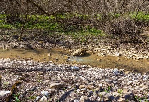 The structure of the bottom is a shallow mountain river, an old man and natur Stock Photos