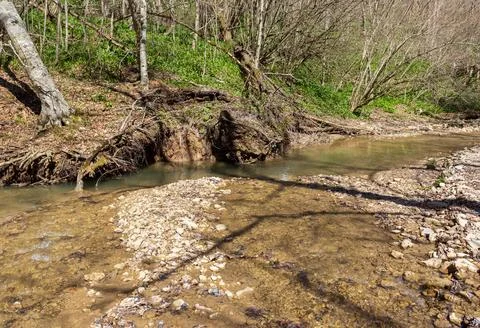 The structure of the bottom is a shallow mountain river, an old man and natur Stock Photos