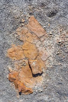 The structure of the bottom is a shallow mountain river, an old man and natur Stock Photos