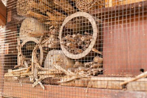 A structure is built with logs, twigs, and tubes to provide shelter for ins.. 库存照片