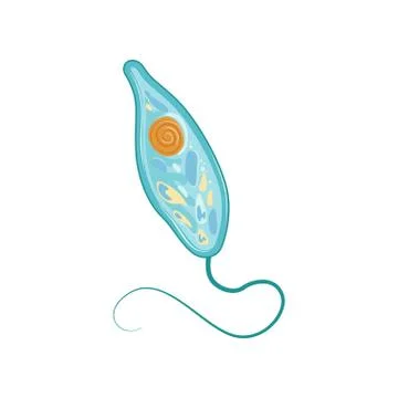 Structure of cell under microscope. Micro organism concept. Icon in flat style Stock Illustration