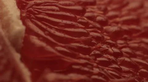 Structure of citrus Stock Footage 44786131