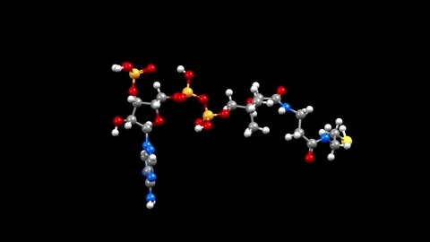 Structure of coenzyme A (CoA) Stock Footage 291080672