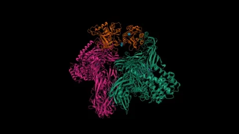 Structure of the Complement classical and lectin pathway C3 convertase (pink) Stock Footage 330394257