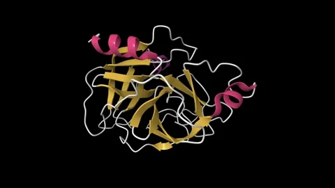 Structure of complement D factor. Stock Footage 317114028