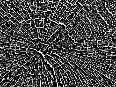 Structure of cracks of wood  vector background Stock Illustration