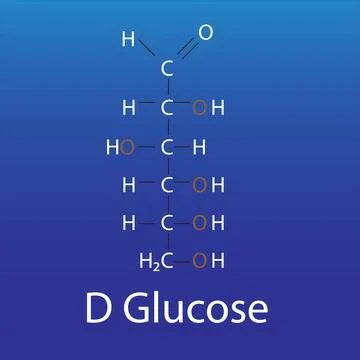 Structure of D glucose Illustrazione stock