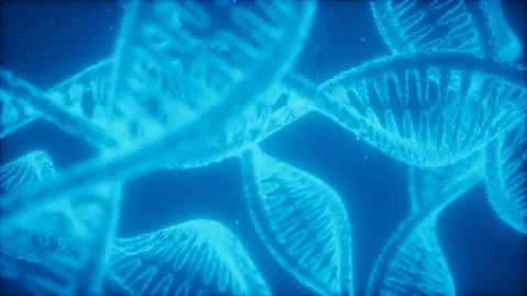 Structure of the DNA double helix animation 스톡 일러스트